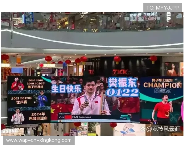 樊振东让座暖心瞬间，对手敬佩不已，樊振东2017采访专访